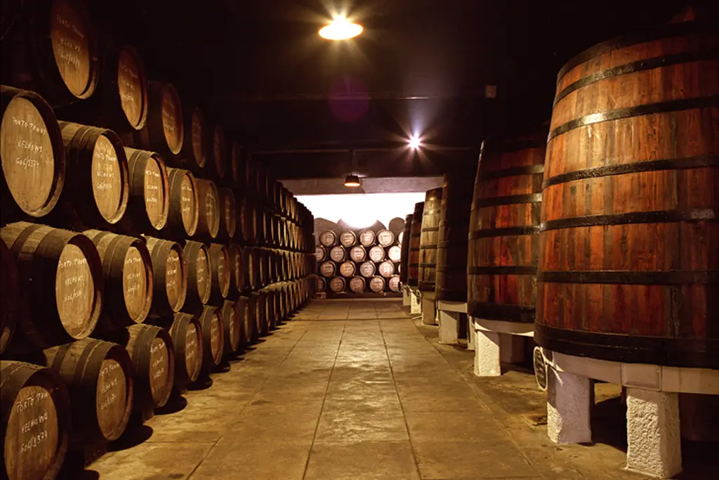 O que visitar na cidade do Porto