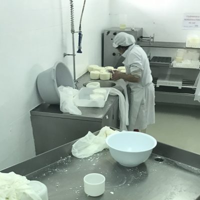 Fabrico de queijo