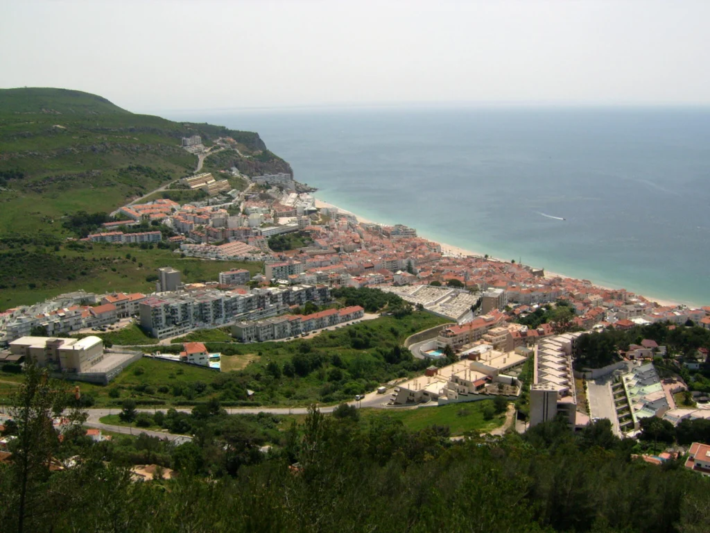 OArborista