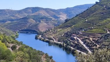 Rio do Douro
Tour del Valle del Duero: Vinos, Paisajes y Tradición
