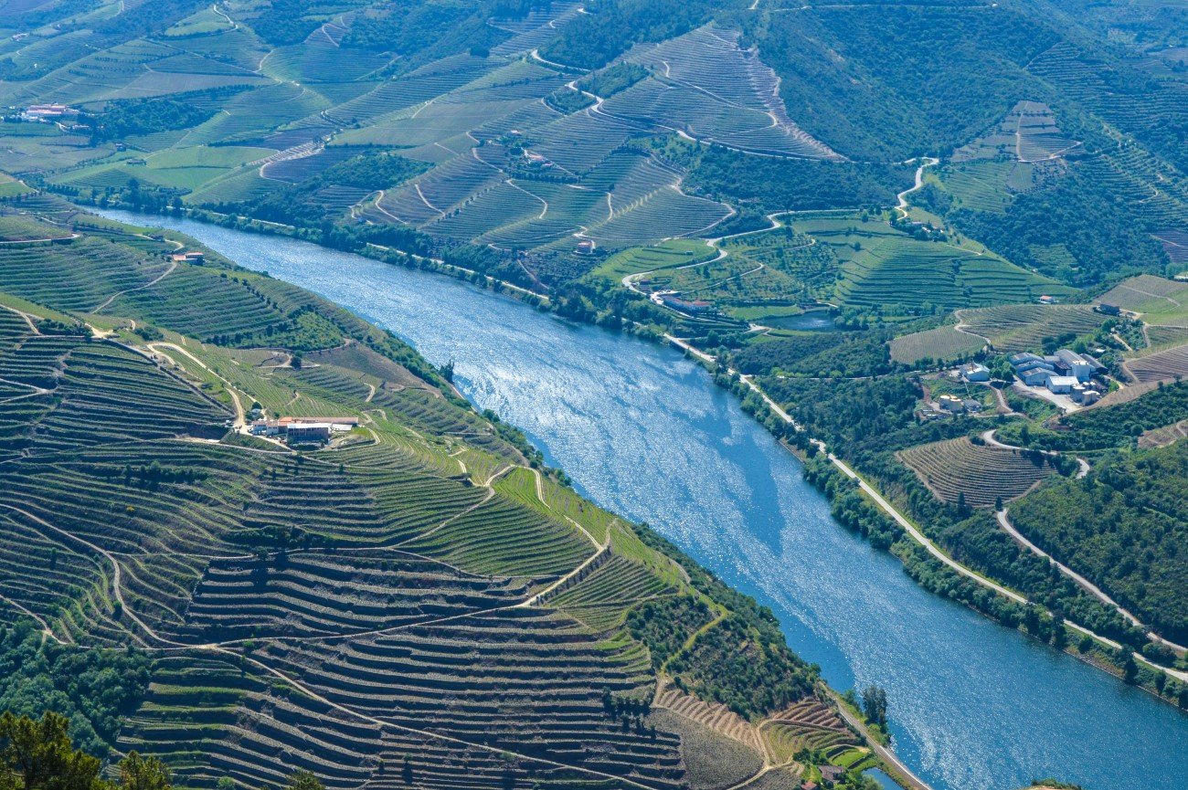 Tour Vale do Douro: Vinhos, Paisagens e Tradição