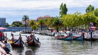 Aveiro Moliceiros
Barco