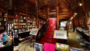 roteiro 14 dias em portugal
Ruta 8 Días Portugal: Historia, Cultura y Naturaleza
Ruta de 6 días en Portugal: De Oporto a Lisboa
Ruta de 5 días por Portugal: Historia, Paisajes y Sabores
Porto
Sintra
Lisboa
Douro