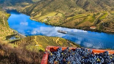 roteiro 14 dias em portugal
Ruta 8 Días Portugal: Historia, Cultura y Naturaleza
Ruta de 6 días en Portugal: De Oporto a Lisboa
Ruta de 5 días por Portugal: Historia, Paisajes y Sabores
Porto
Sintra
Lisboa
Douro