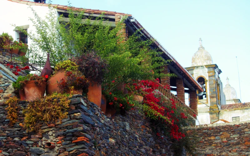 Flores, vasos e muros de pedra junto à arquitetura de Monsaraz