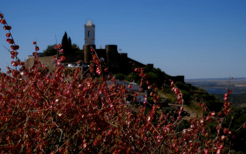 monsaraz view