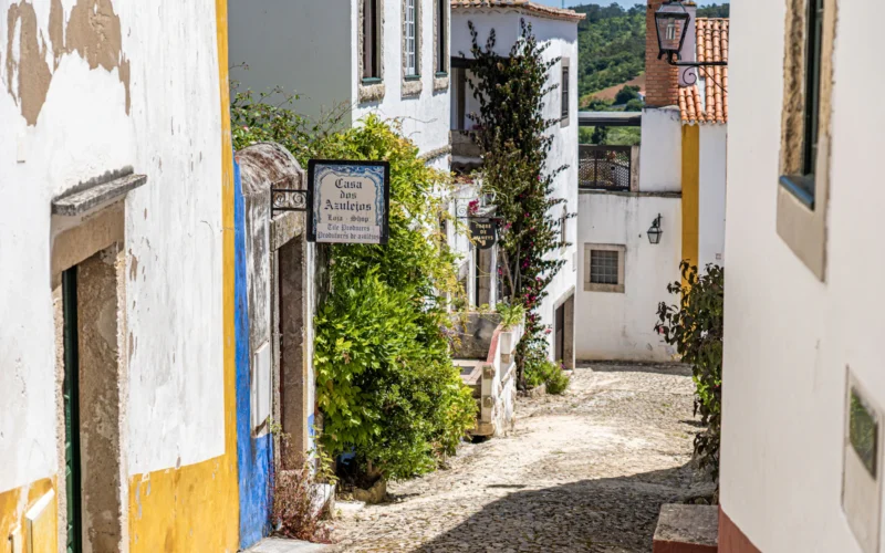 Rua calcetada de Óbidos, com casas brancas de barras azuis e amarelas, vasos e vegetação.
