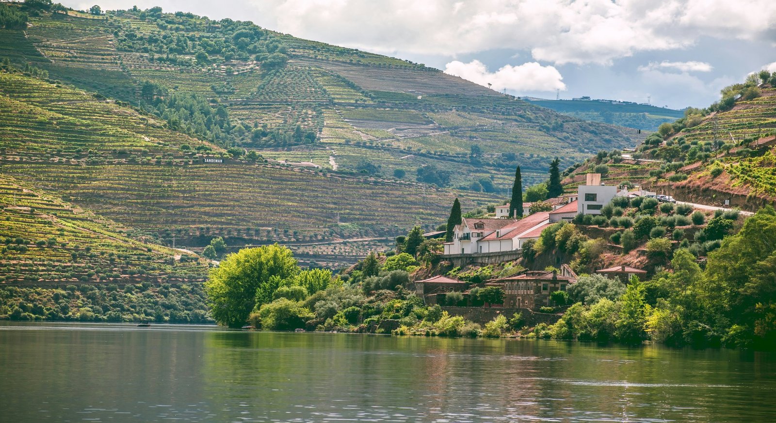 Rows of vines cover a hillside in the Douro Valley, Portugal.