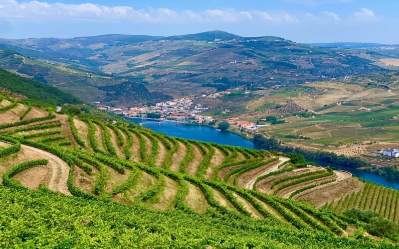 Valley Douro Douro Valley Vale do Douro
