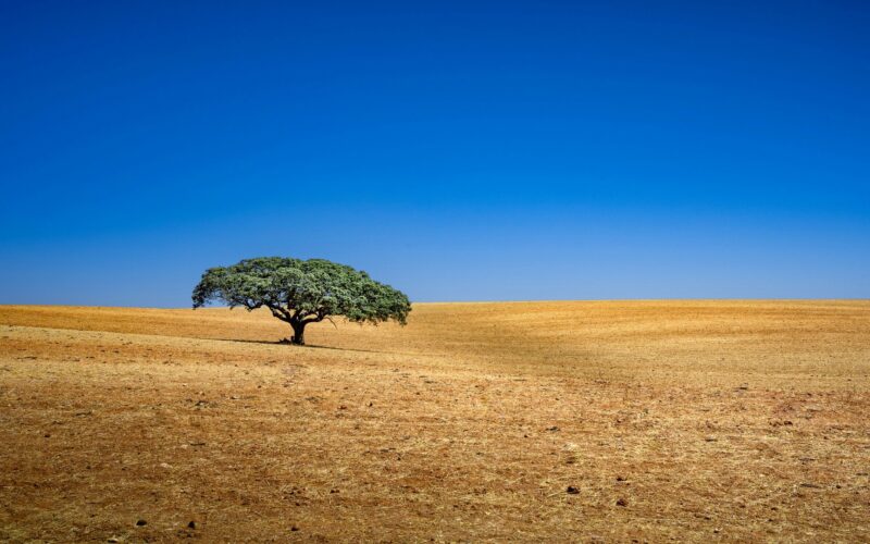 Alentejo
