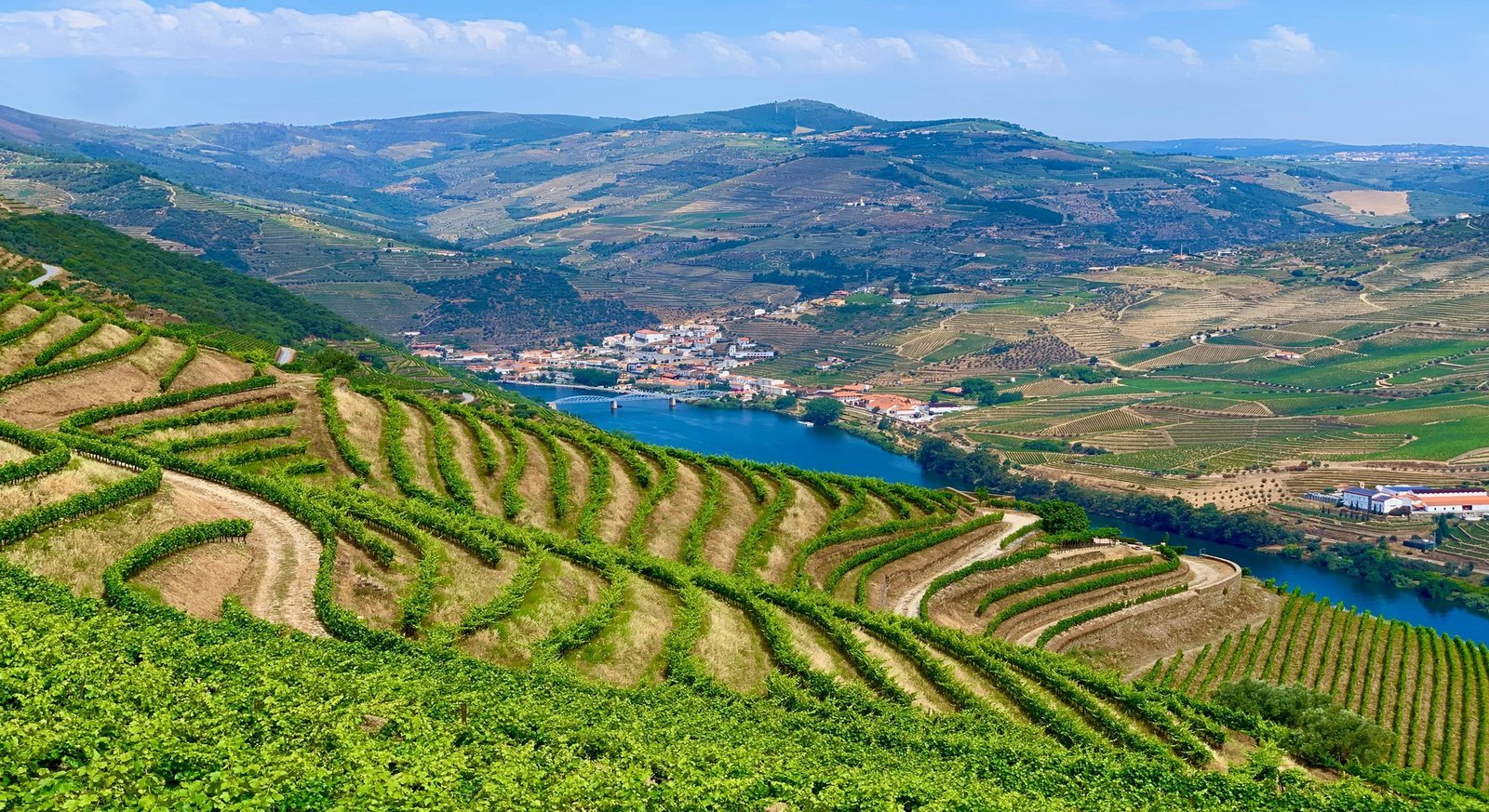 Vale do Douro Vinhas