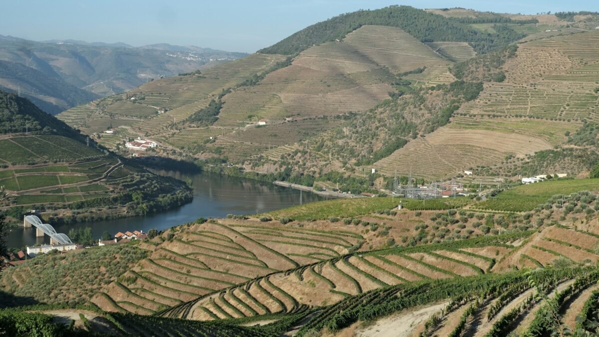 O rio Douro serpenteia entre vinhas em socalcos perto de Pinhão, em Portugal.