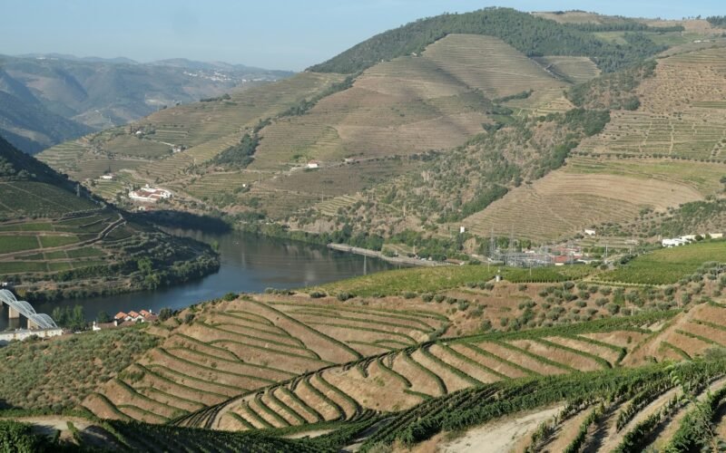 O rio Douro serpenteia entre vinhas em socalcos perto de Pinhão, em Portugal.