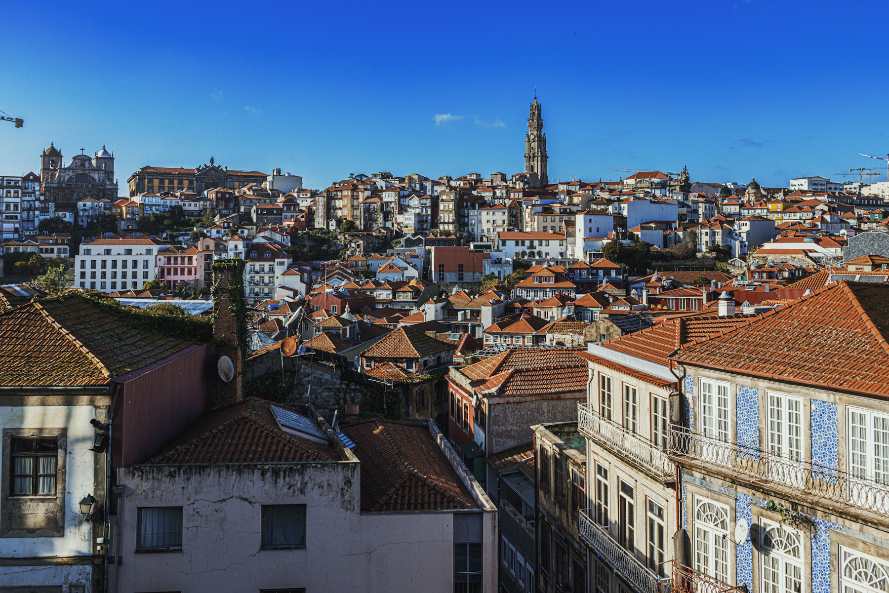 Clérigos Tower rising above Porto’s terracotta rooftops under a blue sky.