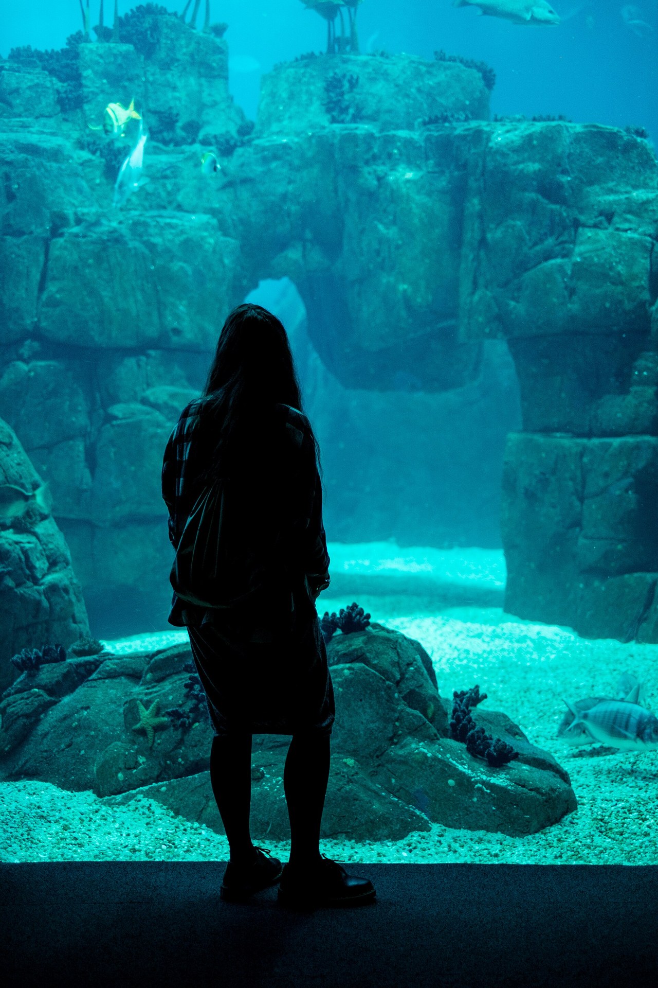 A visitor looks into a large aquarium window inside Lisbon Oceanarium
