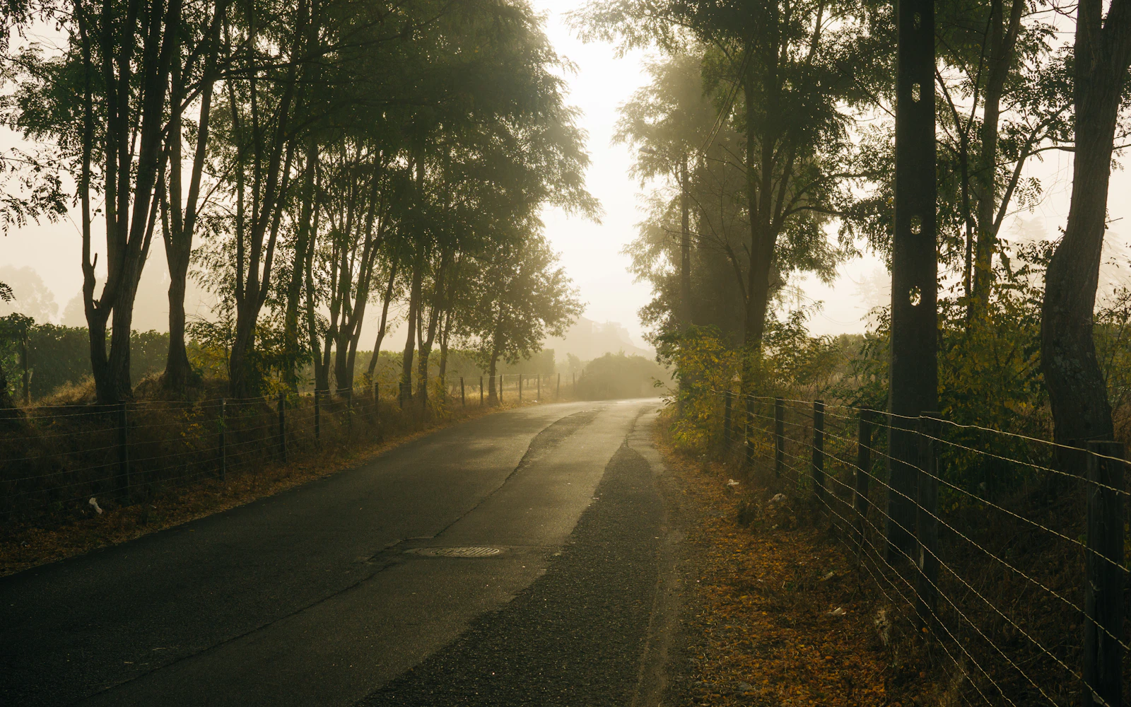 Portugal Route