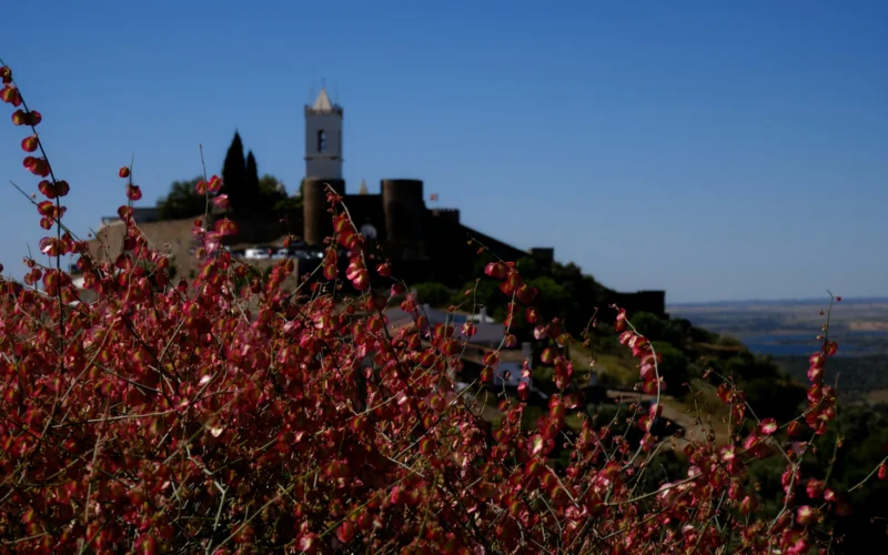 Monsaraz